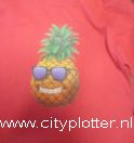 ananas-printbaar-flexfolie-cityplotter-zaandam