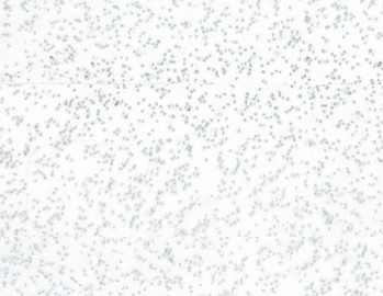 Flexfolie Speciaal Glitter Wit Glitter White SS 3705 Cityplotter Zaandam