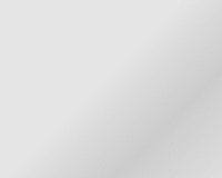 Silver 181 Glans Vinyl L100
