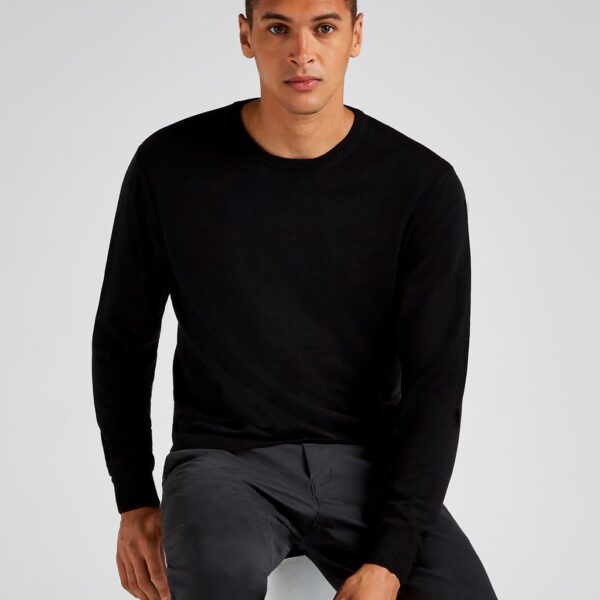 Regular Fit Arundel Crew Neck Sweater