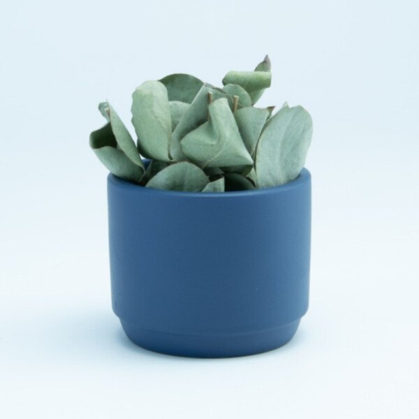 Marine Blauw Bloempotje van Keramiek | 6cm hoog – 7cm doorsnede