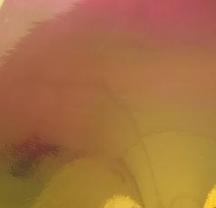 Gold / Salmon 20cm x 30cm Chameleon Opal Vinyl