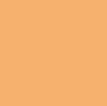Pastel Oranje Vinyl Superior