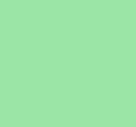 Pastel Groen Vinyl Superior