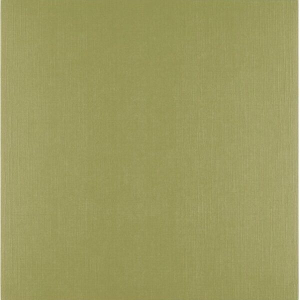 Florence Acacia Cardstock Papier Glad 30,5cm x 30,5cm 250 gram 5 stuks