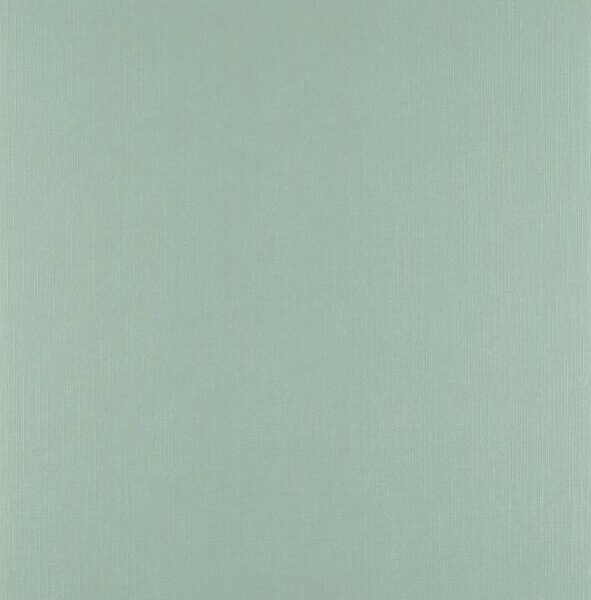 Florence Iguana Cardstock Papier Glad 30,5cm x 30,5cm 250 gram 5 stuks