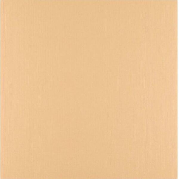 Florence Parchment Cardstock Papier Glad 30,5cm x 30,5cm 250 gram 5 stuks